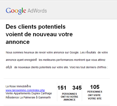 Campagne La Rose Immobilière - Google Adwords